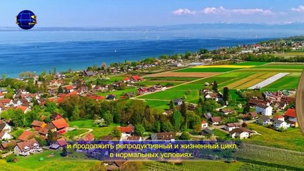 Восточная Молния | Слово Божье «Сам Бог уникален. Часть VIII Бог – источник жизни для всего сущего (II) Глава 4»