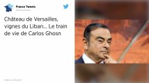 Château de Versailles, vignes du Liban... Le train de vie de Carlos Ghosn