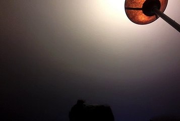 Movie on 11-25-18 at 1.17 PM