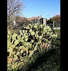 Belle action solidaire à Chantillac !!! Un lieu chargé d'histoire ...et d'heureux souvenirs!!