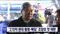 270억 원대 횡령·배임' 조양호 첫 재판