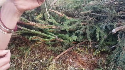 Nowe jedzonko W ogrodzie