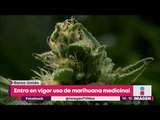 Entra en vigor uso de marihuana medicinal en Reino Unido | Noticias con Yuriria