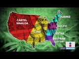 Mariguana mexicana es lo más consumido en Estados Unidos | Noticias con Ciro