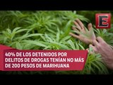 ¿Cómo sería la legalización de la marihuana en México?