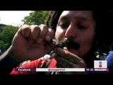 Qué implica el fallo sobre mariguana y por qué su consumo sería casi legal | Yuriria Sierra