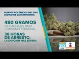 Puntos polémicos de la iniciativa de Morena sobre cannabis | Noticias con Francisco Zea