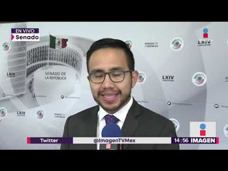 Iniciativa para regular el uso de la marihuana en México | Noticias con Yuriria Sierra