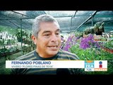 Flores comestibles, un área no explotada en Yucatán | Noticias con Francisco Zea