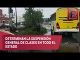 Fuertes vientos en Campeche provocan caída de árboles