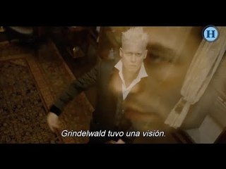 Animales fantásticos: buenas y malas noticias