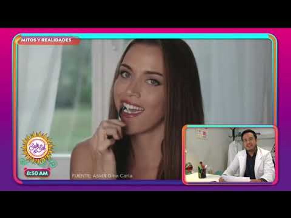 Mitos y Realidades: ¿debes cepillar los dientes a mascotas? | Sale el Sol