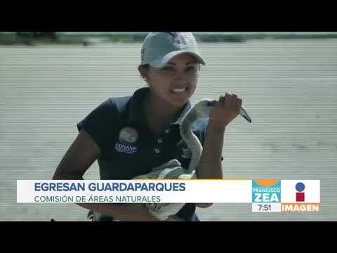 Se crea el primer Colegio Nacional de Guardaparques en México | Noticias con Francisco Zea