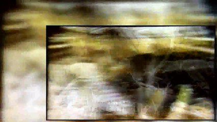 The Wonder Years S06E11