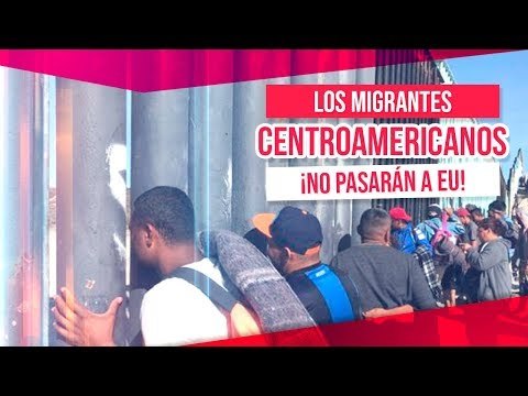 ¡Los migrantes no pasarán a Estados Unidos! | Noticias con Francisco Zea