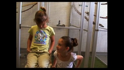 Skunked TV Episode 1