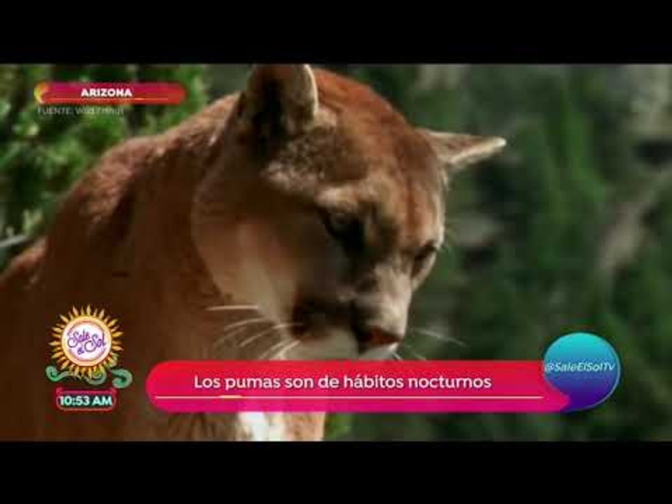 Maravillas de la naturaleza de Arizona | Sale el Sol