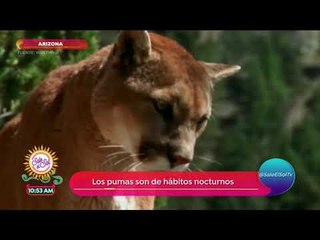 Maravillas de la naturaleza de Arizona | Sale el Sol