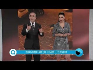 Estos perros demuestran que su barrio los respalda | Qué Importa