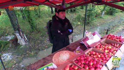 《野生厨房 粉丝定制版》第11期：钱枫化身锦鲤枫，采菇小队收获满满 Wild Kitchen【湖南卫视官方频道】