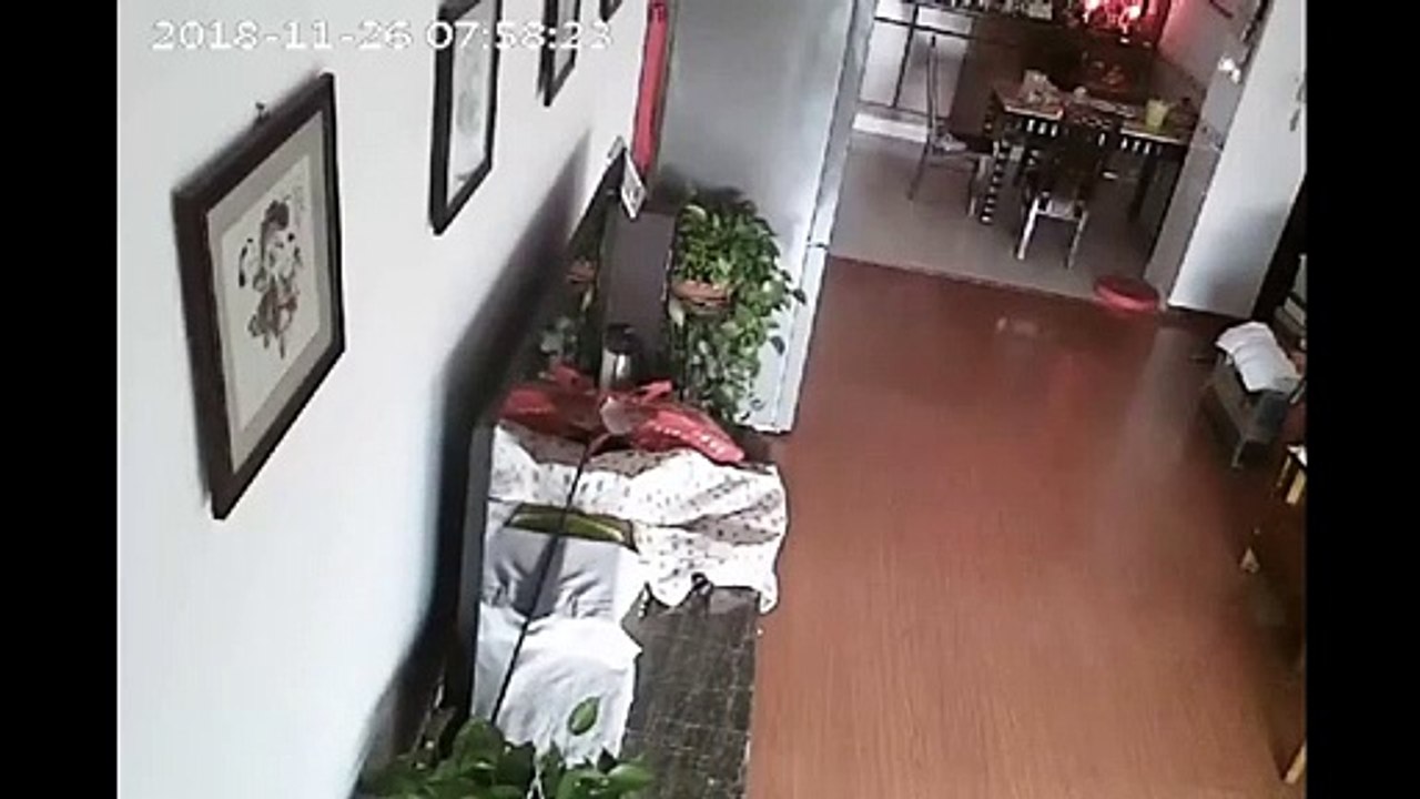 20181126【台湾海峡6.2级地震】福建、广东多地震感强烈！