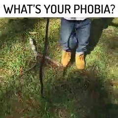 Smile on people faces after seeing something shocked