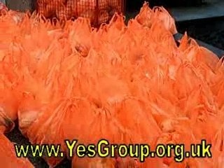 The Sea of Orange - Basket Brigade 2007 London