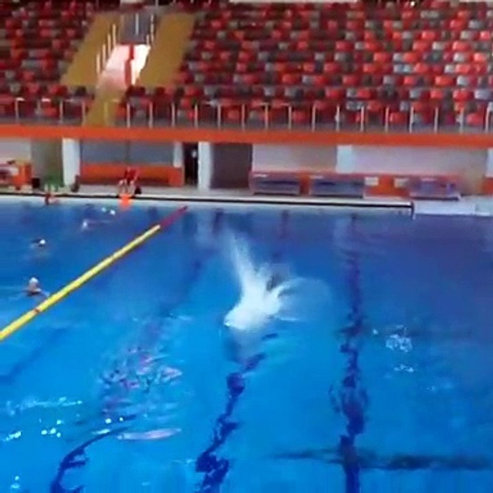 Talent and passion can be good companion, amazing video on talented people