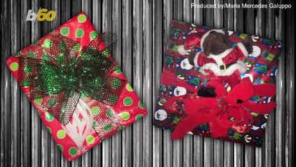 Ditch Holiday Travel Stress With These Friendly TSA Reminders