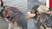 Paus terdampar di Wakatobi, ditemukan 6 kg sampah plastik di perutnya - TomoNews