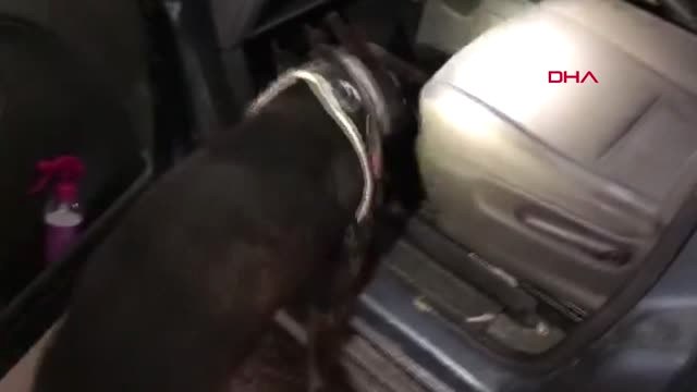 Van 'Alfa' ile Yapılan Aramada Araçta 82 Kilo Eroin Ele Geçirildi