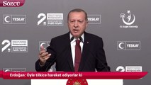 Erdoğan: 'Öyle tilkice hareket ediyolar ki'