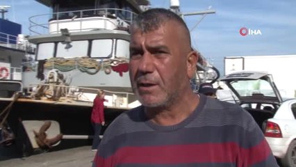 Zonguldak'ta Hamsi Bereketi