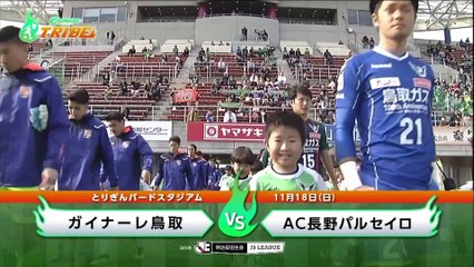 ガイナーレＴＲＩＢＥ