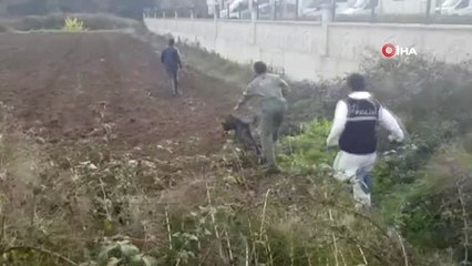 Cemal Kaşıkçı'nın Arandığı Malikaneler Kaçak Çıktı