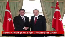 İstanbul- Cumhurbaşkanı Erdoğan, Slovakya Dışişleri Bakanını Kabul Etti