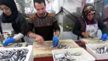 Mardin’de 85 Kiloluk Köpek Balığına Yoğun İlgi