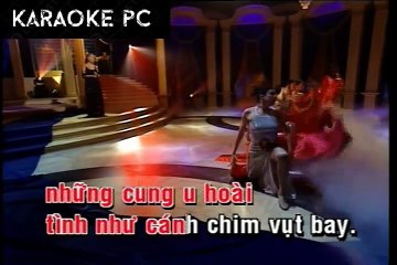 Karaoke Tình Lẻ Loi - Lâm Thúy Vân