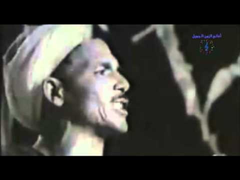 شوقى القناوى   -  على الصعيد