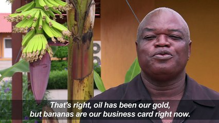 'Green fuel': Bananas to help wean Angola off oil