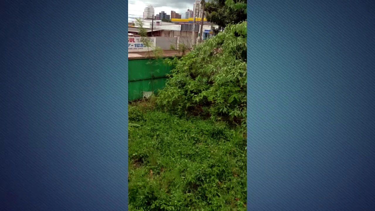 Mato em terreno no Centro prejudica moradores