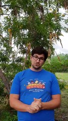 "Le collectif Booftang regroupe passionnés et professionnels de jeux vidéos."