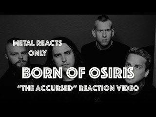 BORN OF OSIRIS "Accursed" Reaction Video | Metal Reacts Only | MetalSucks