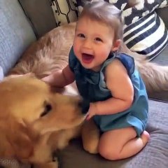 Dog and baby are best friends
