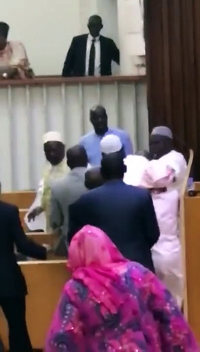 Entre insultes et coups de poing, l'Assemblée N...