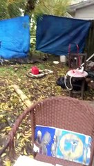 Shamash - Shem,son of Noah (SunGod) Shamanism  11/24/2018