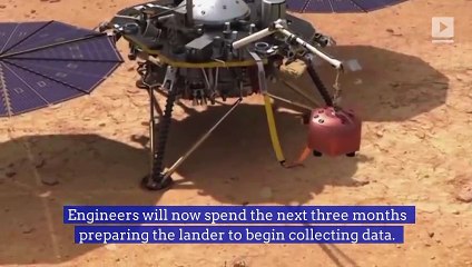 NASA Spacecraft 'Insight' Makes Safe Landing on Mars