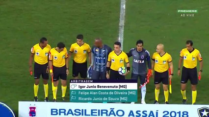 Botafogo 2 x 1 Paraná - Melhores Momentos (60fps) Brasileirão 26112018 720 x 1280