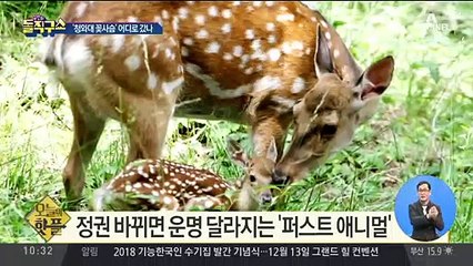 [핫플]임종석 靑 직원들에 ‘기강 해이’ 경고