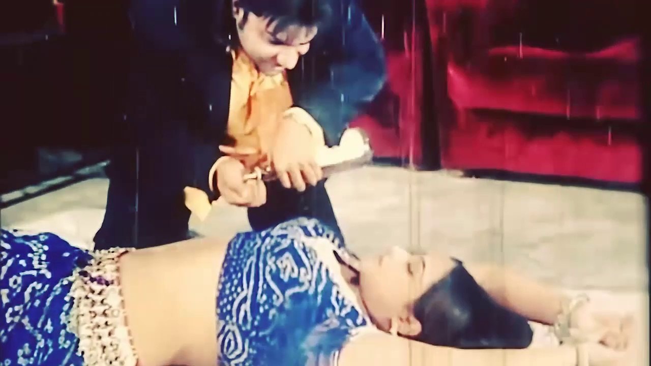 Qizil sochli mushuk video